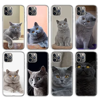 Britská Krátkosrstá Kočka Telefon Pouzdro Pro Apple iPhone 11 13 14 Pro 12 Mini SE X XR XS Max 6 6S 7 8 Plus Vzor Měkký TPU Zadní Kryt