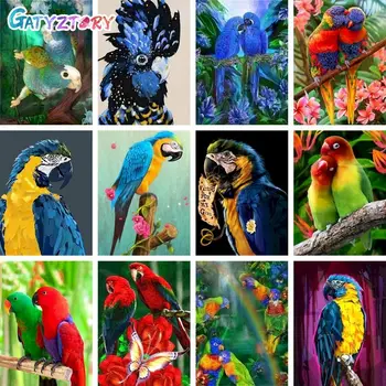 GATYZTORY Malování Podle Čísel Pro Dospělé, Děti Papoušek Obrázek Kreslení Zvířat Zbarvení Na Plátně, Kresby Domova